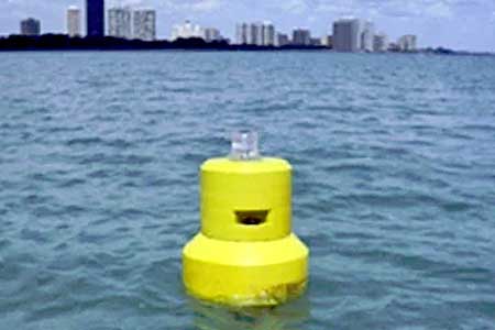 Cellular data buoys predict E. coli