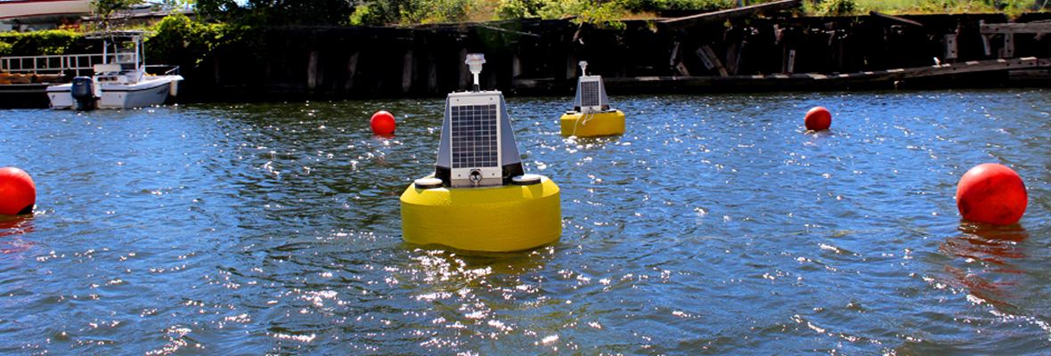 water monitoring buoy systems