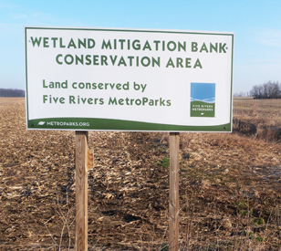 wetland_mitigation_project
